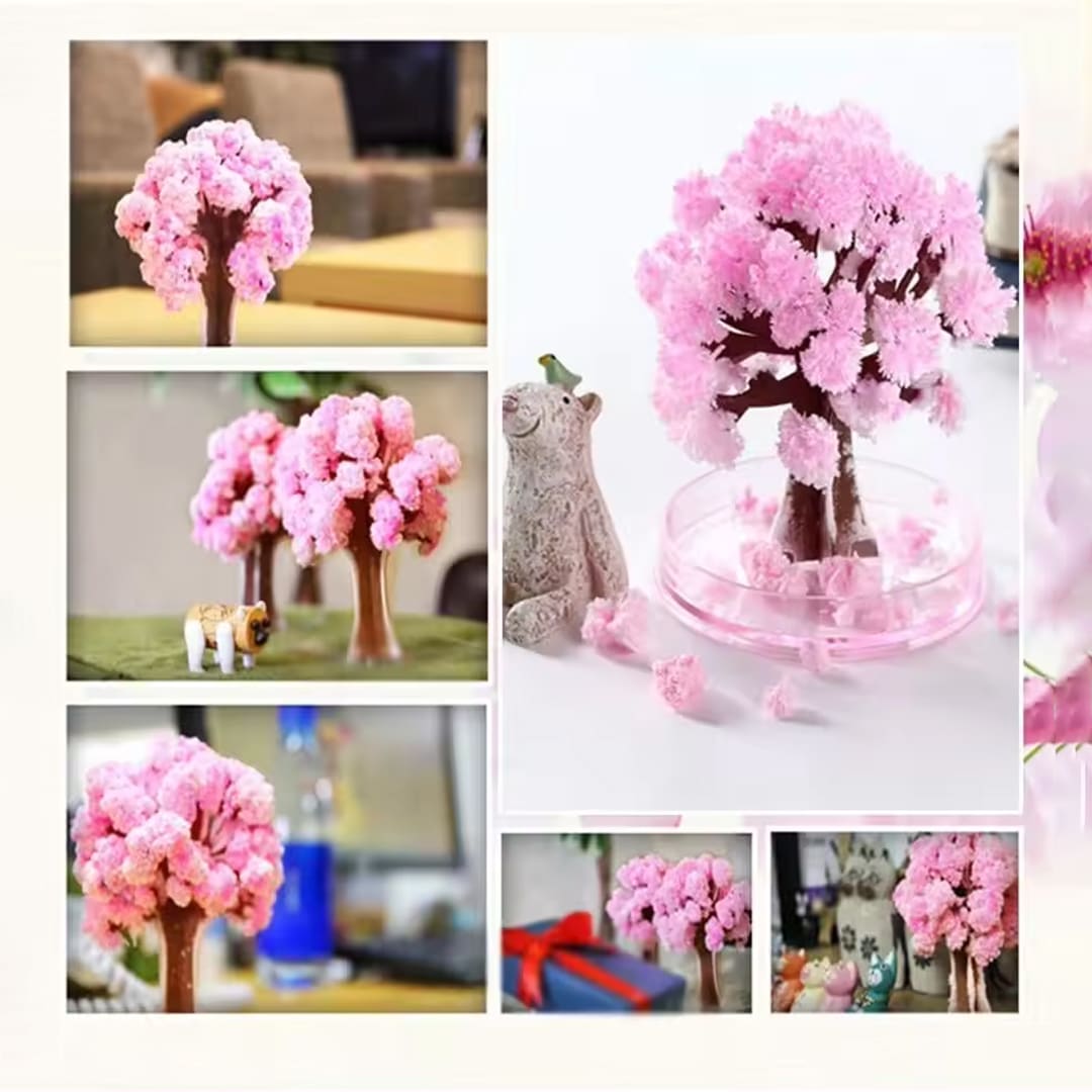 درخت جادویی ساکورا طرح شکوفه گیلاس 4 درخت جادویی ساکورا طرح شکوفه گیلاس