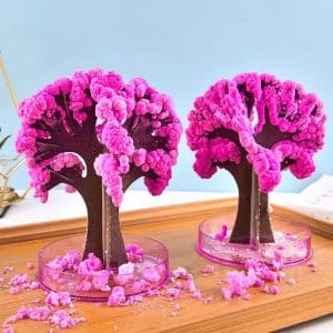 درخت جادویی ساکورا طرح شکوفه گیلاس