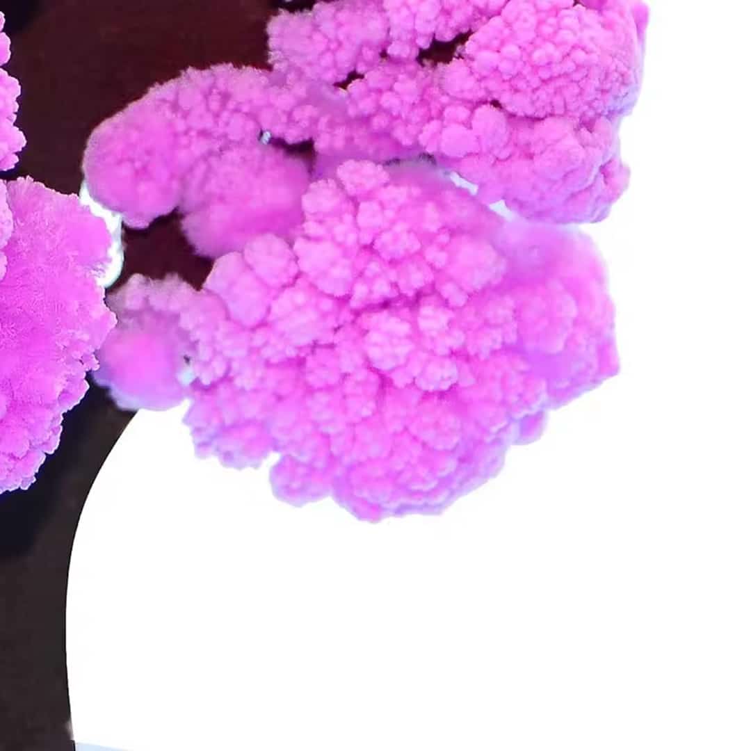 درخت جادویی ساکورا طرح شکوفه گیلاس 9 درخت جادویی ساکورا طرح شکوفه گیلاس