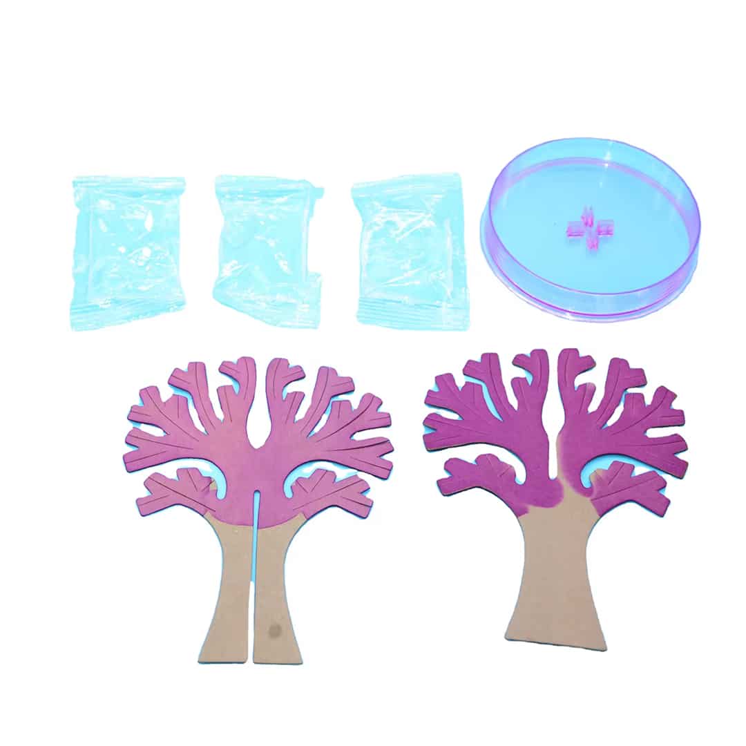 درخت جادویی ساکورا طرح شکوفه گیلاس 10 درخت جادویی ساکورا طرح شکوفه گیلاس