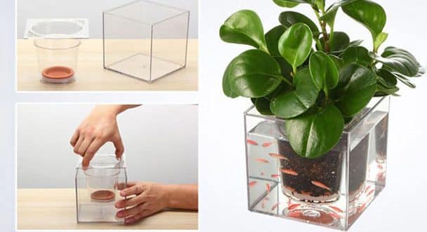 گلدان آکواریومی سون گرین 1 2 e1731830869278