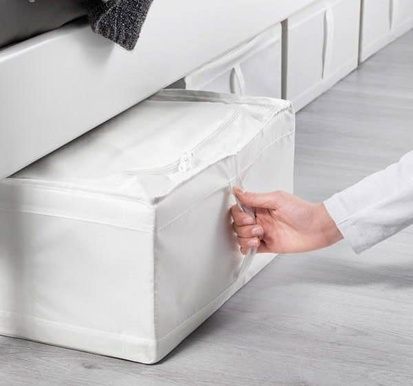 1256048 e1731389417706