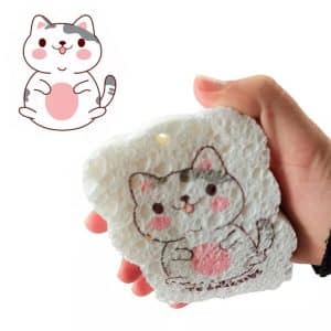 اسفنج ظرفشویی جادویی