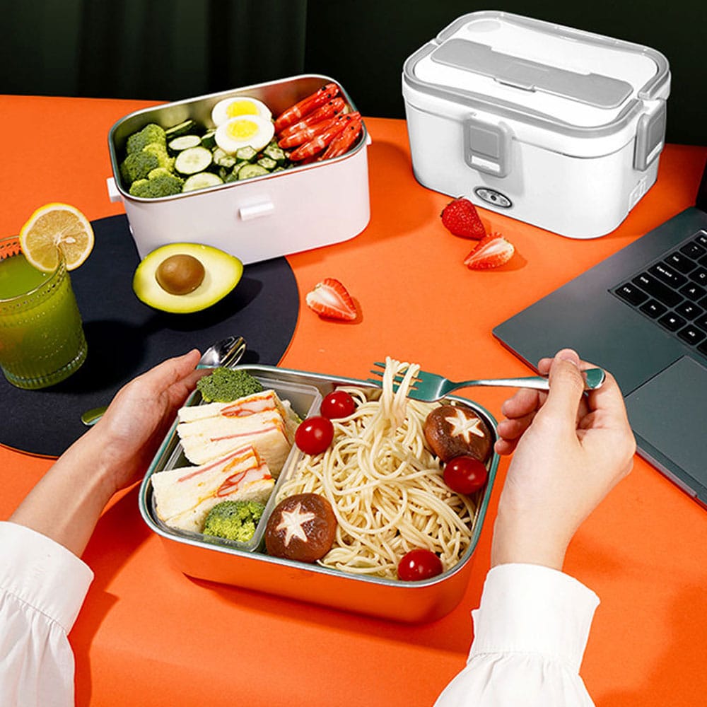 ظرف غذای برقی غذای برقی مدل DFH C25 01 1.jpg 3 1