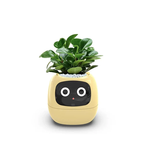 گلدان هوشمند مدل Smart Plant Ivy