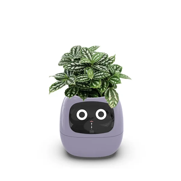 گلدان هوشمند مدل Smart Plant Ivy