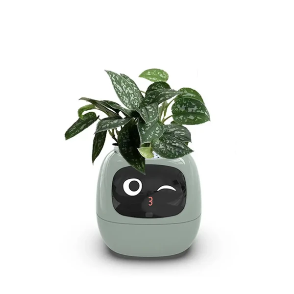 -گلدان-هوشمند-مدل-Smart-Plant-Ivy-12