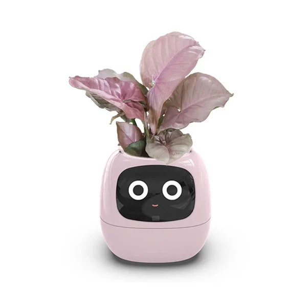 -گلدان-هوشمند-مدل-Smart-Plant-Ivy-3